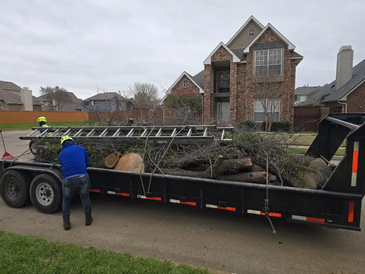 Expert Tree Pest Control with proper safety equipment in Ebervale